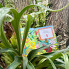 Gecko Hide and Seek children's book displayed as a Hawaiian gift