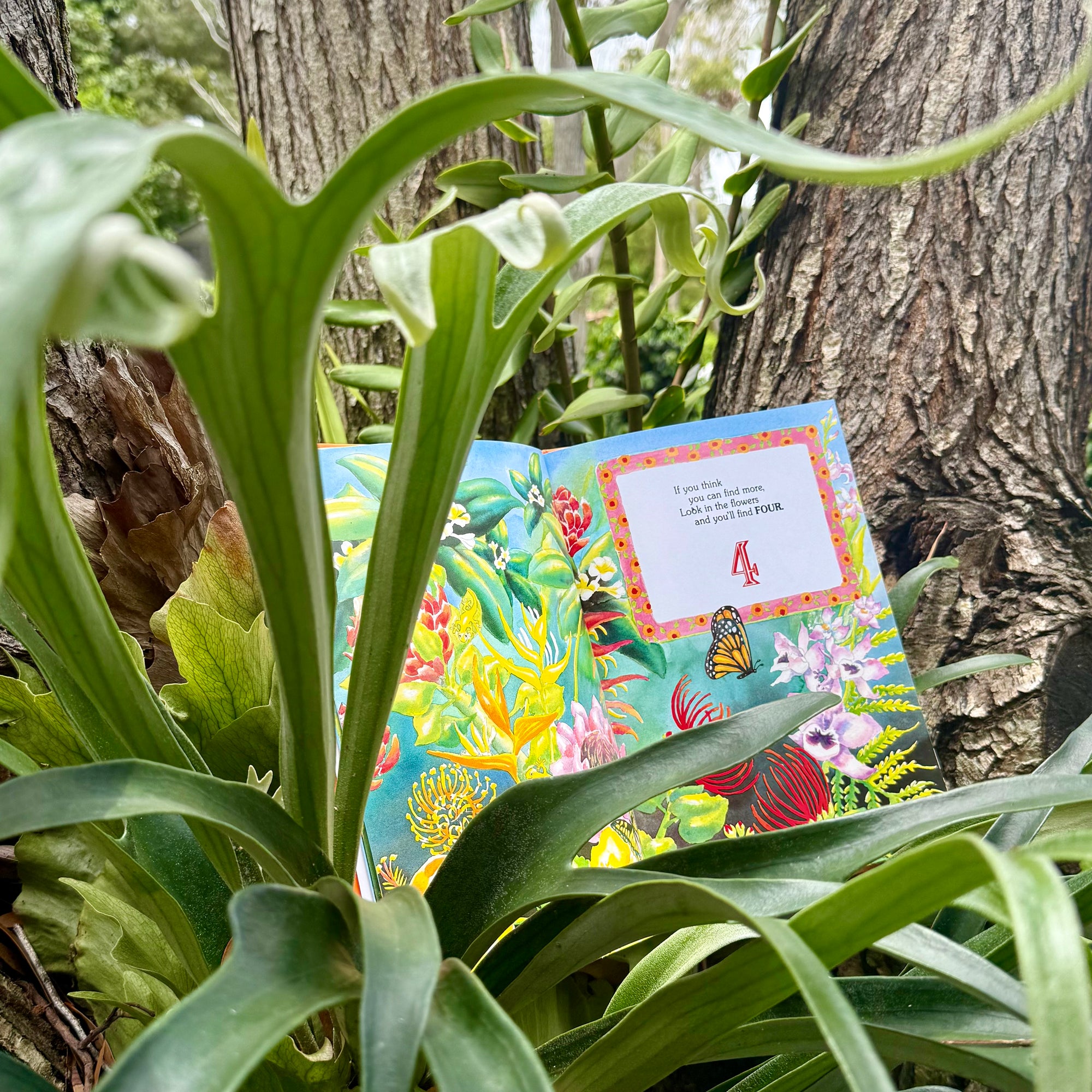 Gecko Hide and Seek children's book displayed as a Hawaiian gift