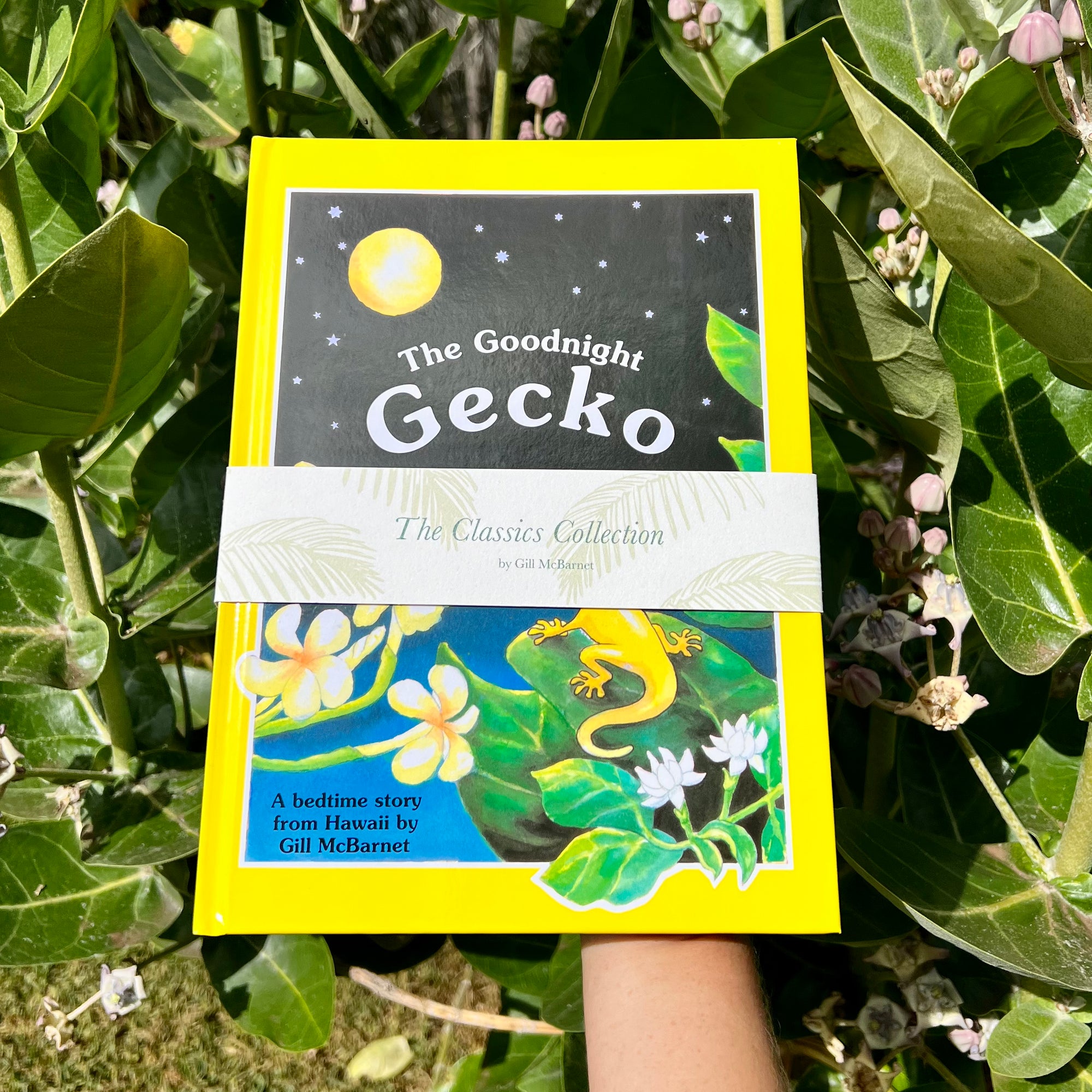 The Classics Collection Set as a gift bundle for children