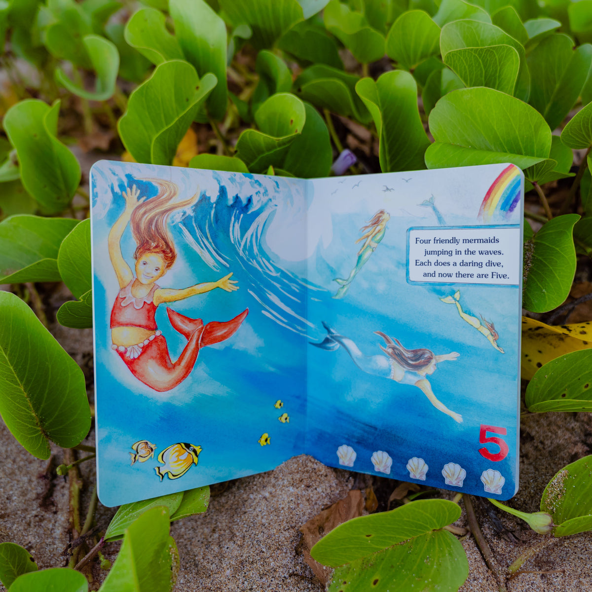 The Rainbow Mermaids of Hawaii board book displayed with beach shells