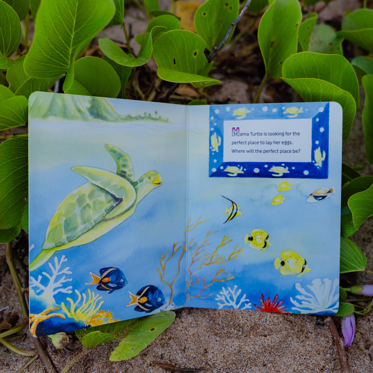 Interior page from Mama Turtle's Eggs board book showing Hawaii ocean creatures