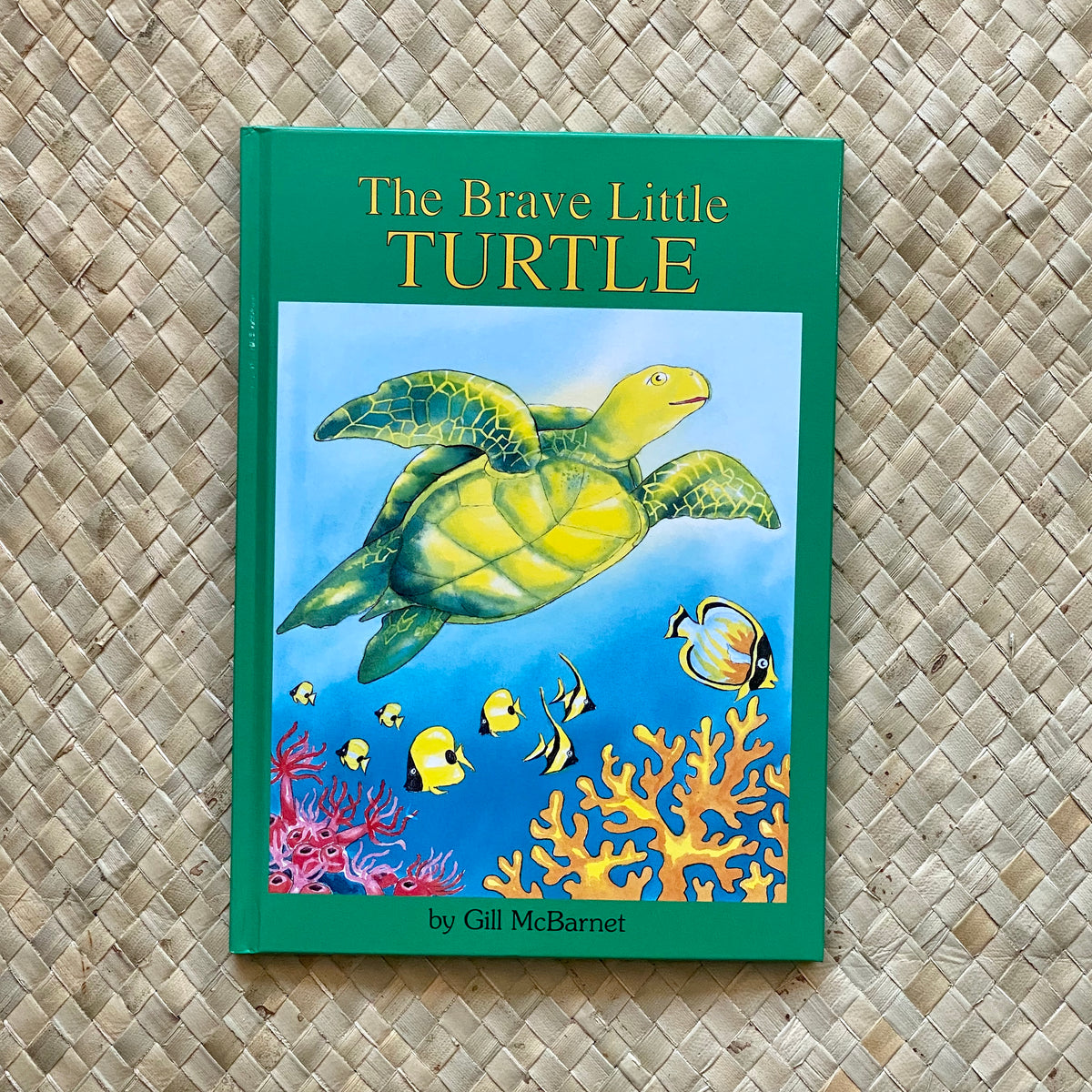 The Brave Little Turtle book cover — Hawaii children's book about courage