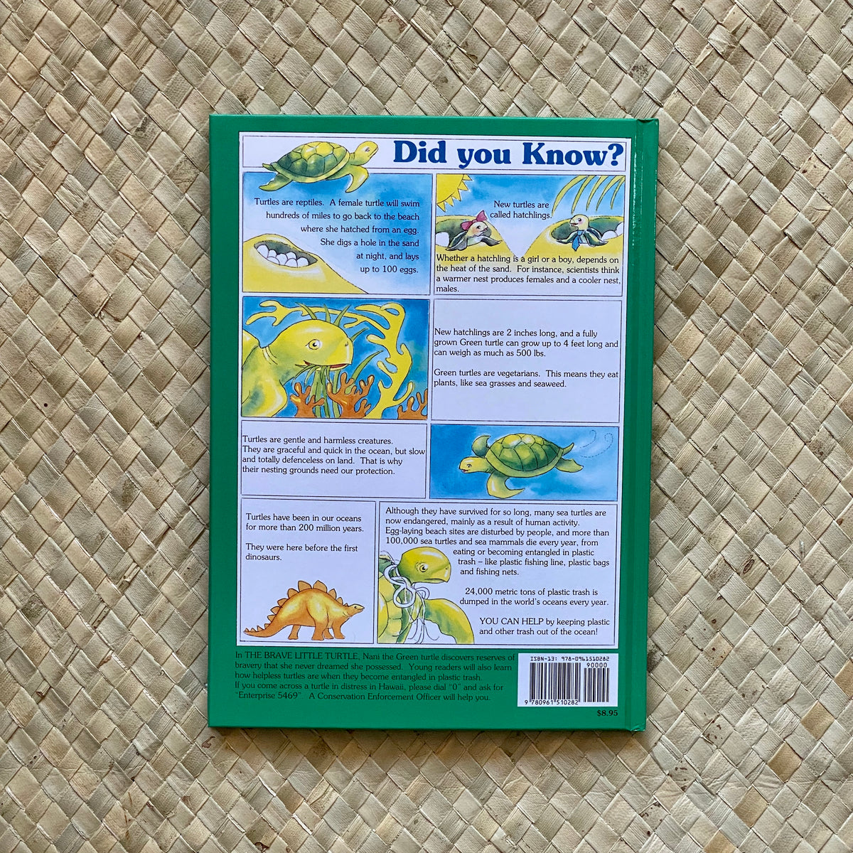 The Brave Little Turtle back cover — Hawaii children's picture book